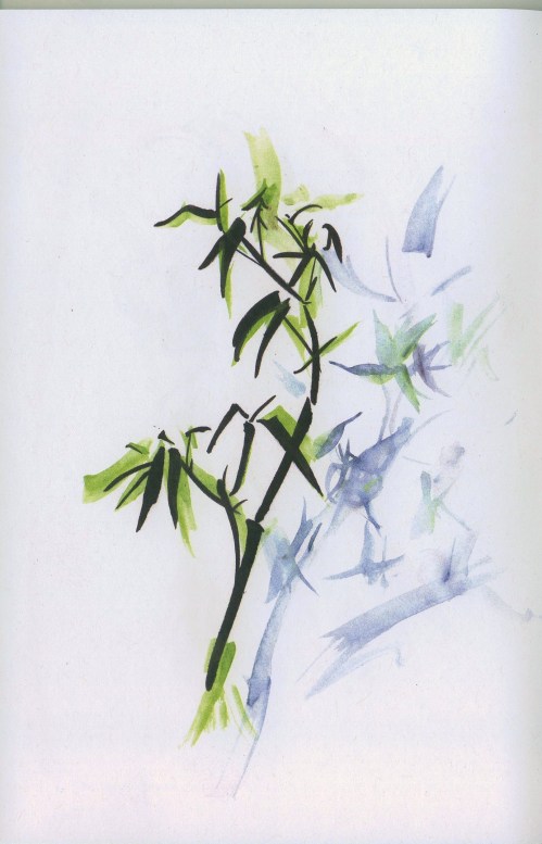 NigntWeather_bamboo01_crop