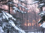snow, trees, sunset,&nbsp;Ohio