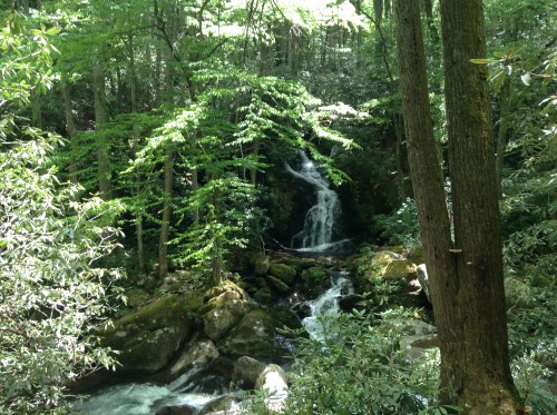 Mouse Creek Falls, GSMNP, 5/2015