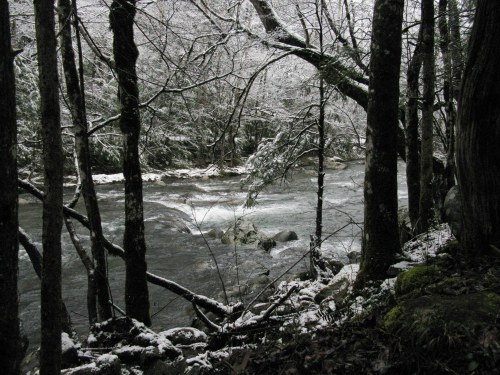 Middle Prong, Little River -- 02/07/2021