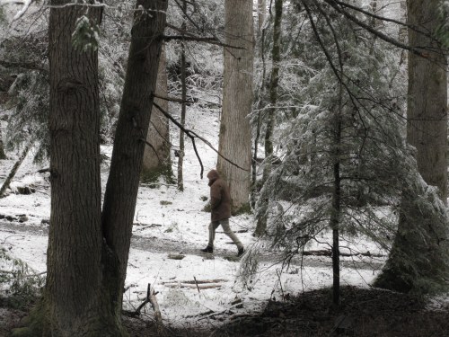 Rare BIGFOOT sighting at Tremont Center