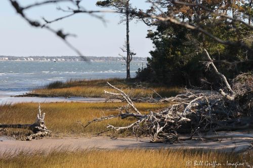 Theodore Roosevelt Nature Trail, Bogue Banks, NC Theodore Roosevelt Nature Trail, Bogue Banks, NC