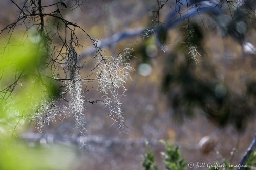 Theodore Roosevelt Nature Trail, Bogue Banks, NC Theodore Roosevelt Nature Trail, Bogue Banks, NC
