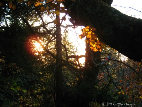 Shining Rock Wilderness Sunrise