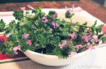 IMG_7729-1-2 henbit