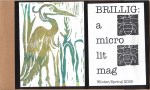 BRILLIG cover