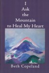 I Ask the&nbsp;Mountain