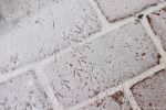 6F7A8645-1 winter snow&nbsp;bird